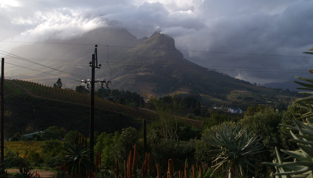 Cape Town: Cosmopolitan Africa Album | The Food & Leisure Guide
