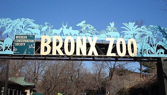 NEW YORK, NEW YORK Album | The Food & Leisure Guide