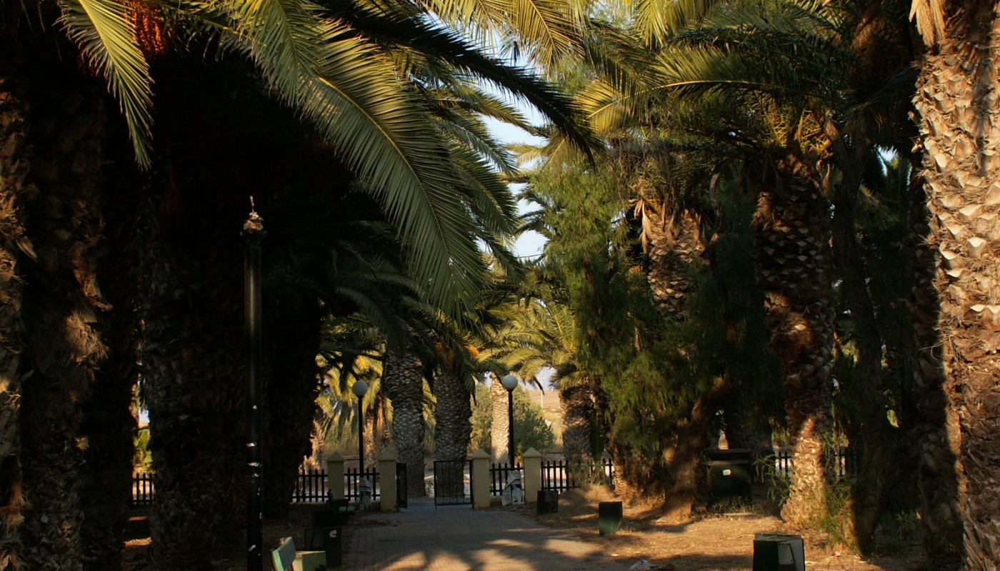 Σούνιο-Λαύριο: Μ’ ένα σμπάρο δυο τρυγόνια Album | The Food & Leisure Guide