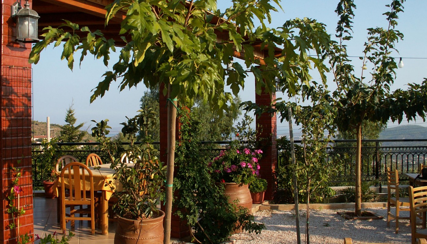 Σούνιο-Λαύριο: Μ’ ένα σμπάρο δυο τρυγόνια Album | The Food & Leisure Guide