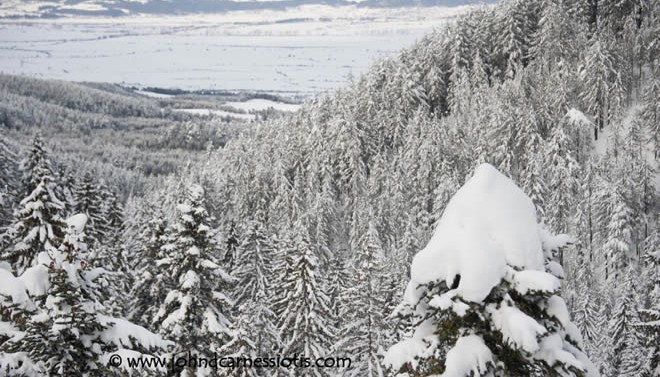 Follow the money, to Bansko Album | The Food & Leisure Guide