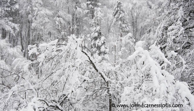 Follow the money, to Bansko Album | The Food & Leisure Guide