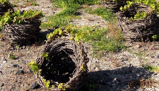 Σαντορίνη: Οι νέοι «πρωταγωνιστές» και όλα όσα πάντα (την) ξεχωρίζουν! Album | The Food & Leisure Guide