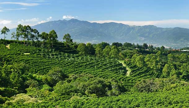 Costa Rica :  Eco-tourism paradise! Album | The Food & Leisure Guide