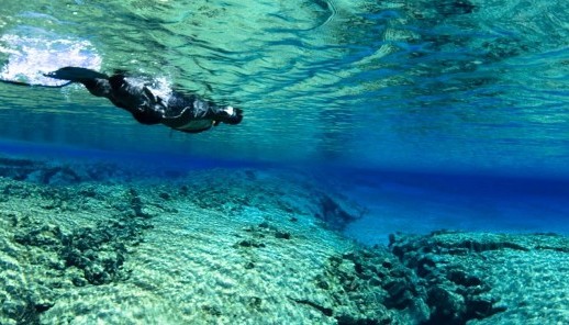 ION Luxury Adventure Hotel, Ισλανδία Album | The Food & Leisure Guide