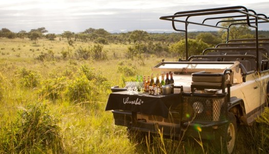 Ulusaba Private Game Reserve: Σαφάρι με στυλ! Album | The Food & Leisure Guide