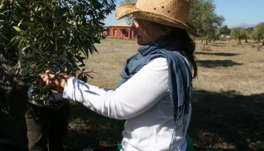 Ευμέλεια: Μια εναλλακτική πρόταση απόδρασης δίπλα στη φύση! Album | The Food & Leisure Guide