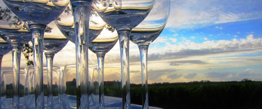 Το μέλλον του κρασιού The FNL Guide