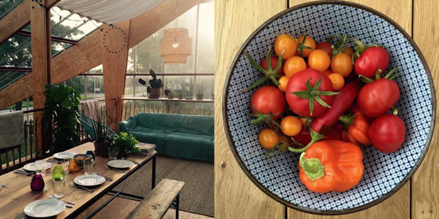 Greenhouse living project | The Food & Leisure Guide