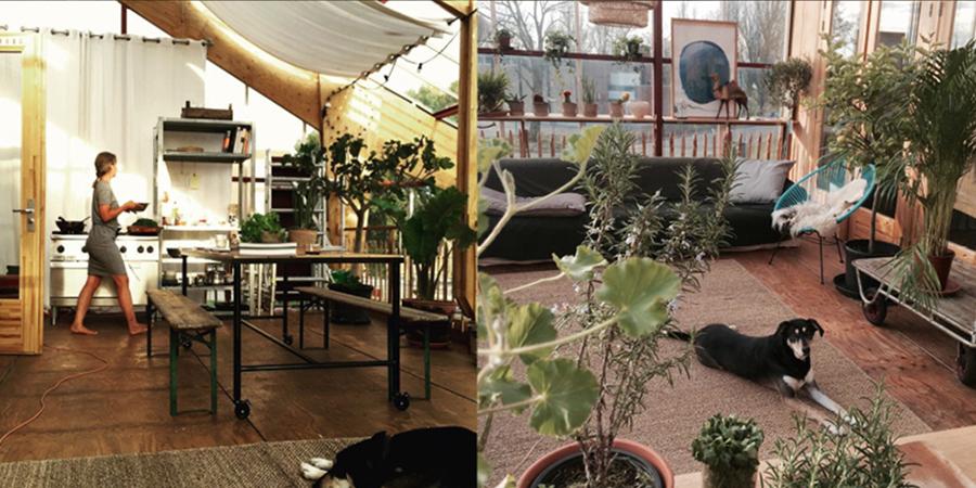 Greenhouse living project | The Food & Leisure Guide