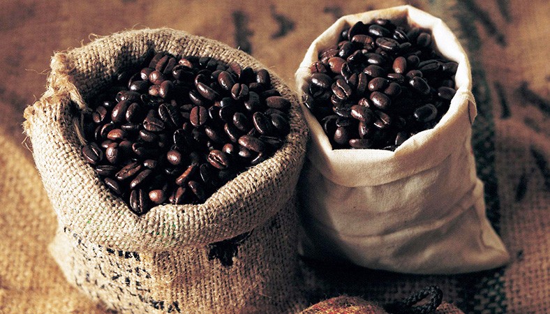 ARABICA VS ROBUSTA | Tips & Tricks