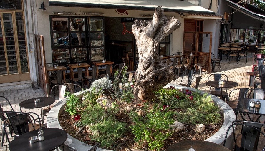 mind the cup | The Food & Leisure Guide