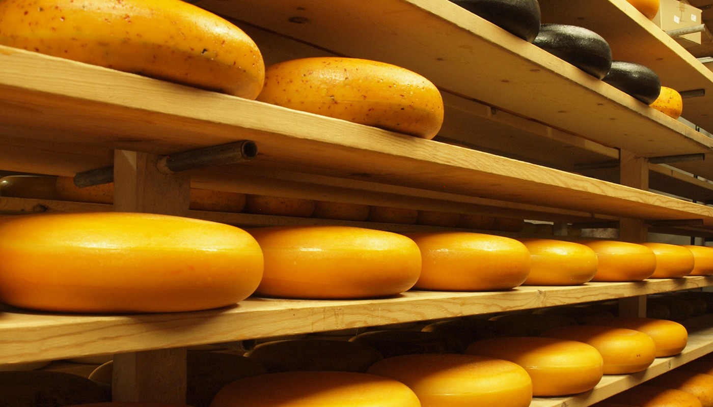 GOUDA: Η ΜΕΓΑΛΗ ΟΛΛΑΝΔΕΖΑ | Tips & Tricks