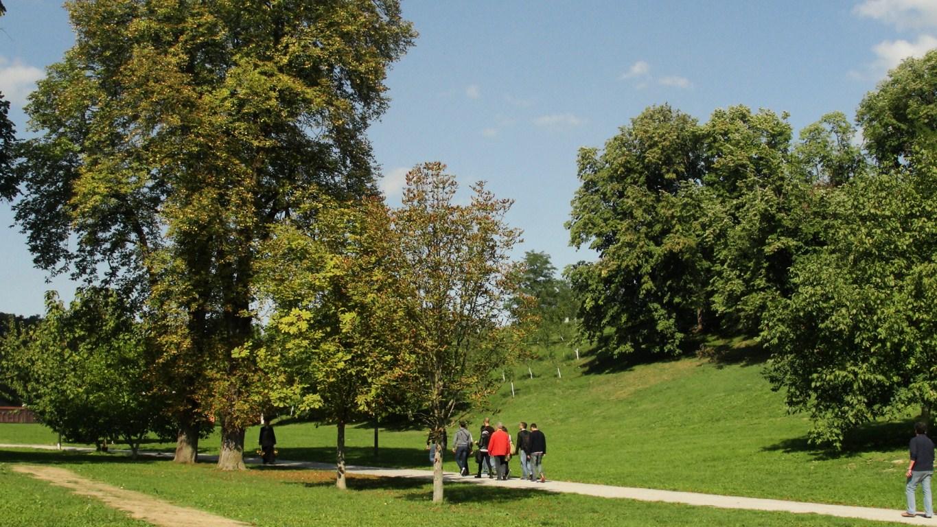 Novi Sad | The Food & Leisure Guide