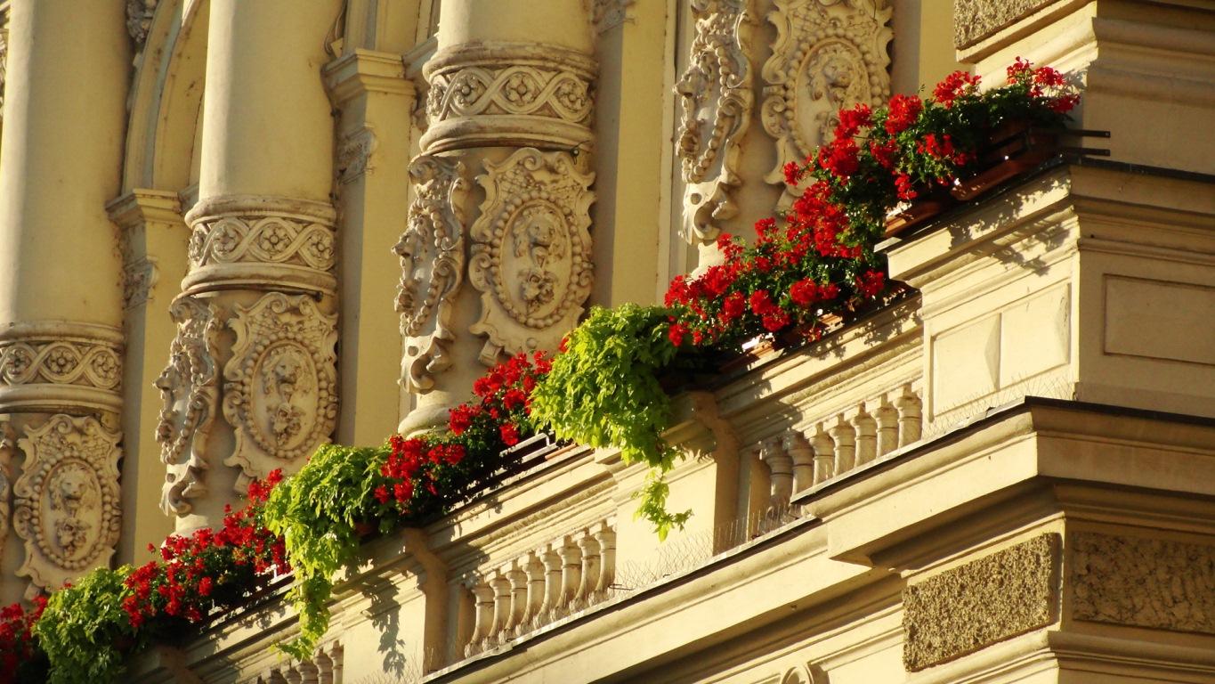Novi Sad | The Food & Leisure Guide