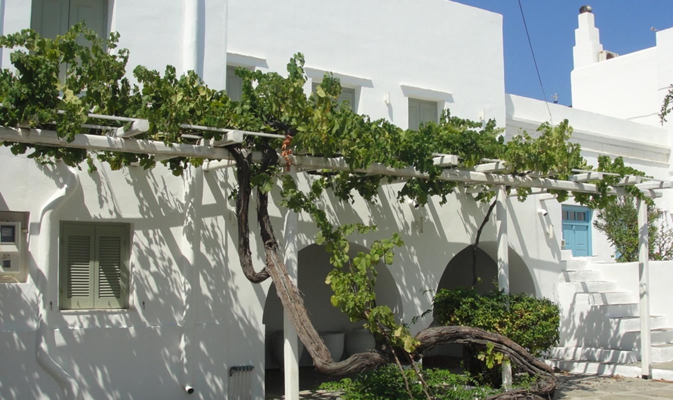 Σίφνος, η γεύση του τόπου | The Food & Leisure Guide