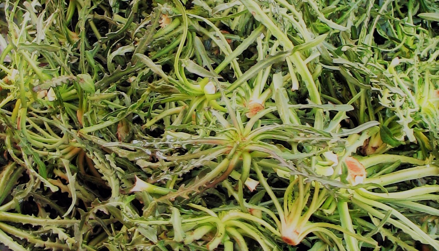 ΤΙ ΕΙΝΑΙ ΤΟ ΣΤΑΜΝΑΓΚΑΘΙ; | Tips & Tricks