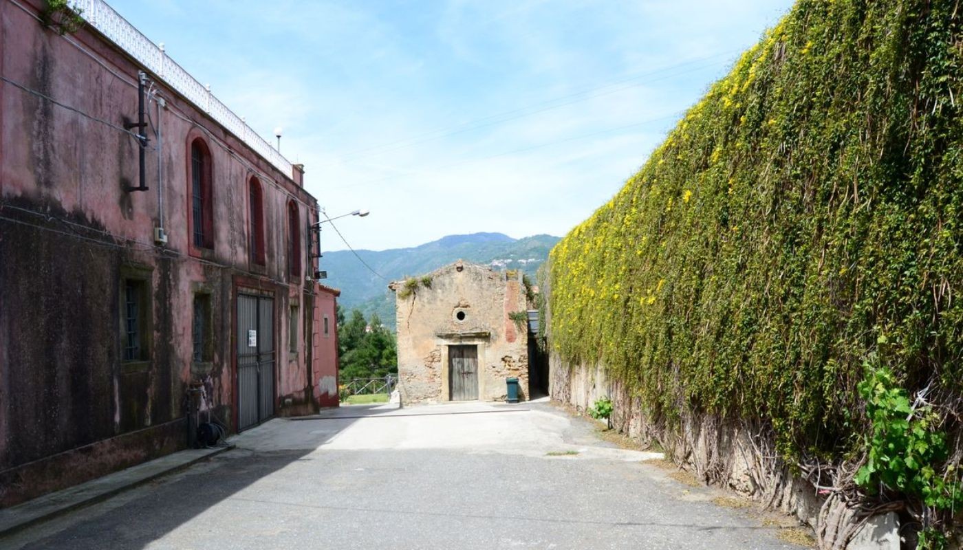 TENUTA GATTI, ΕΝΑΣ ΠΑΡΑΔΕΙΣΟΣ ΣΤΙΣ ΠΛΑΓΙΕΣ ΤΟΥ NEBRODI | Θέματα
