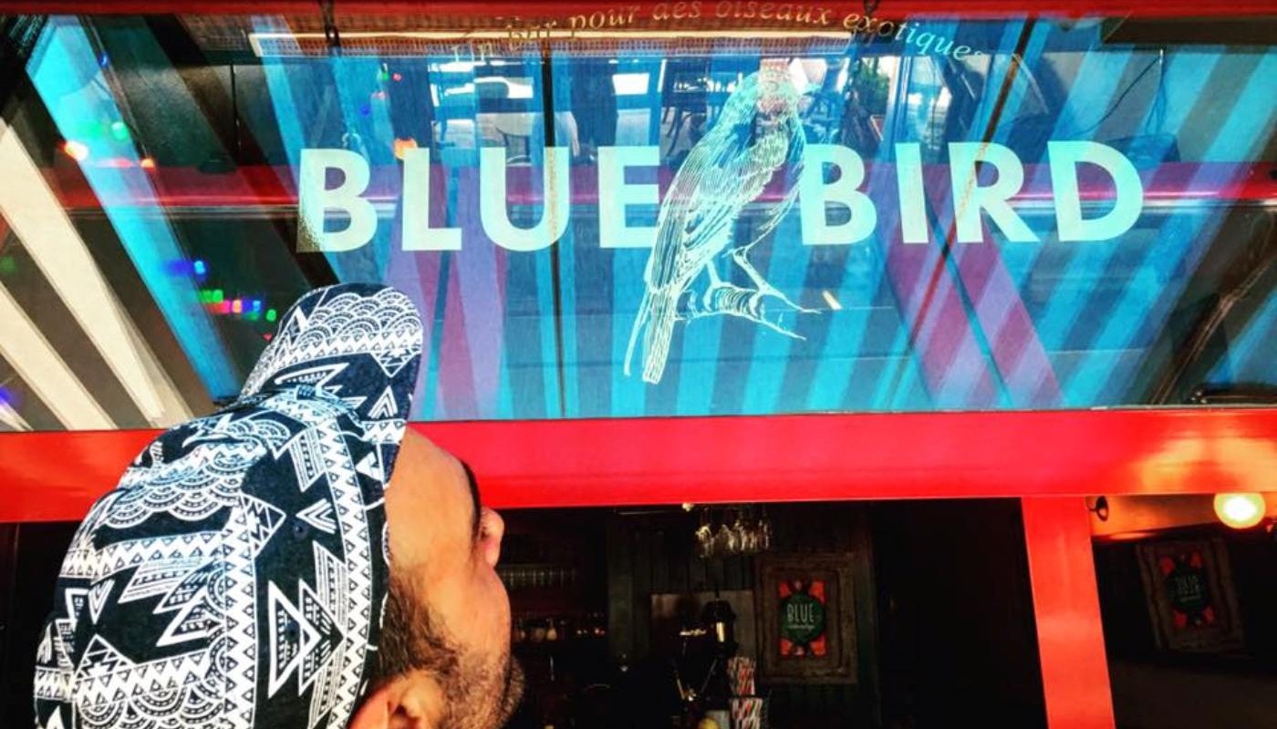 BLUE BIRD: ΕΝΑ ΠΑΡΑΔΕΙΣΕΝΙΟ ΠΟΥΛΙ ΣΤΟ ΚΕΝΤΡΟ ΤΗΣ ΠΟΛΗΣ | The Bars