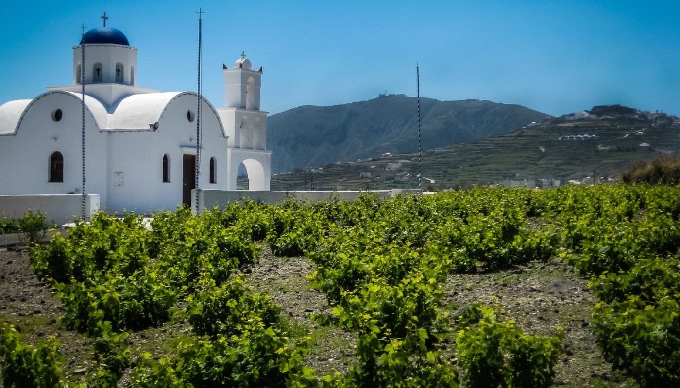 ΣΑΝΤΟΡΙΝΙΟ TERROIR: ΜΥΘΟΣ Η ΠΡΑΓΜΑΤΙΚΟΤΗΤΑ; | Θέματα