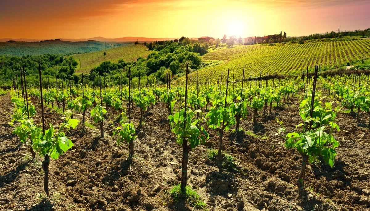 ΤΙ ΕΙΝΑΙ ΕΝ ΤΕΛΕΙ ΤΑ ΒΙΟΔΥΝΑΜΙΚΑ ΚΡΑΣΙΑ; | Tips & Tricks