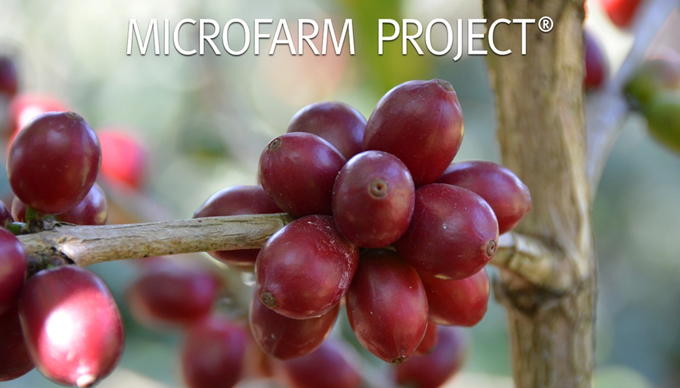 MICROFARM PROJECT® ,ΟΤΑΝ Ο ΚΑΦΕΣ ΓΙΝΕΤΑΙ LIMITED EDITION | Coffee Corner