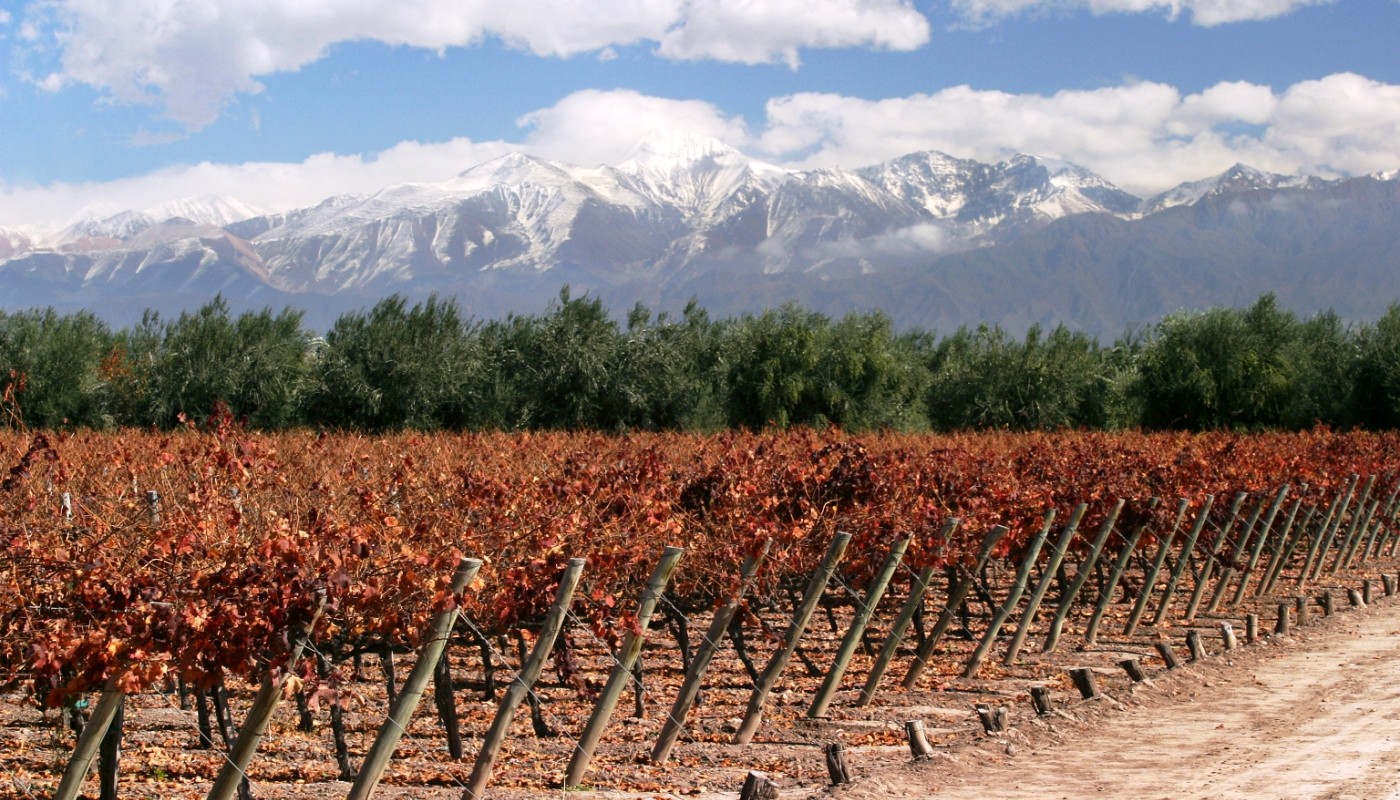 ΑΡΓΕΝΤΙΝΗ, TANGO ΠΕΡΑ ΑΠΟ ΤΟ MALBEC | Θέματα