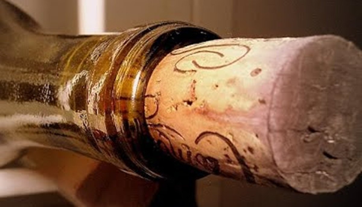 ΦΕΛΛΟΣ, ΤΙ ΚΑΝΩ ΑΝ ΠΕΣΕΙ ΜΕΣΑ; | Tips & Tricks