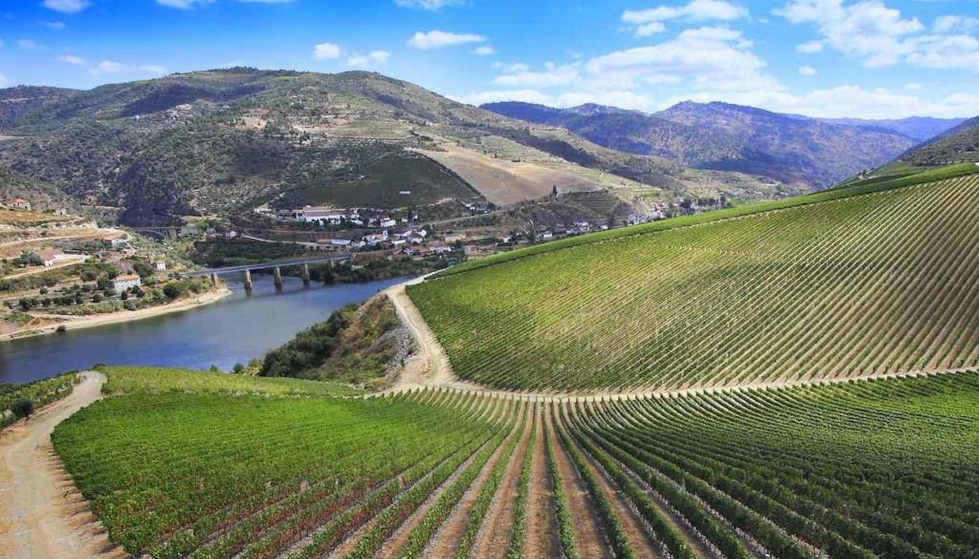 THE DUERO INTERNATIONAL WINE FESTIVAL | Θέματα
