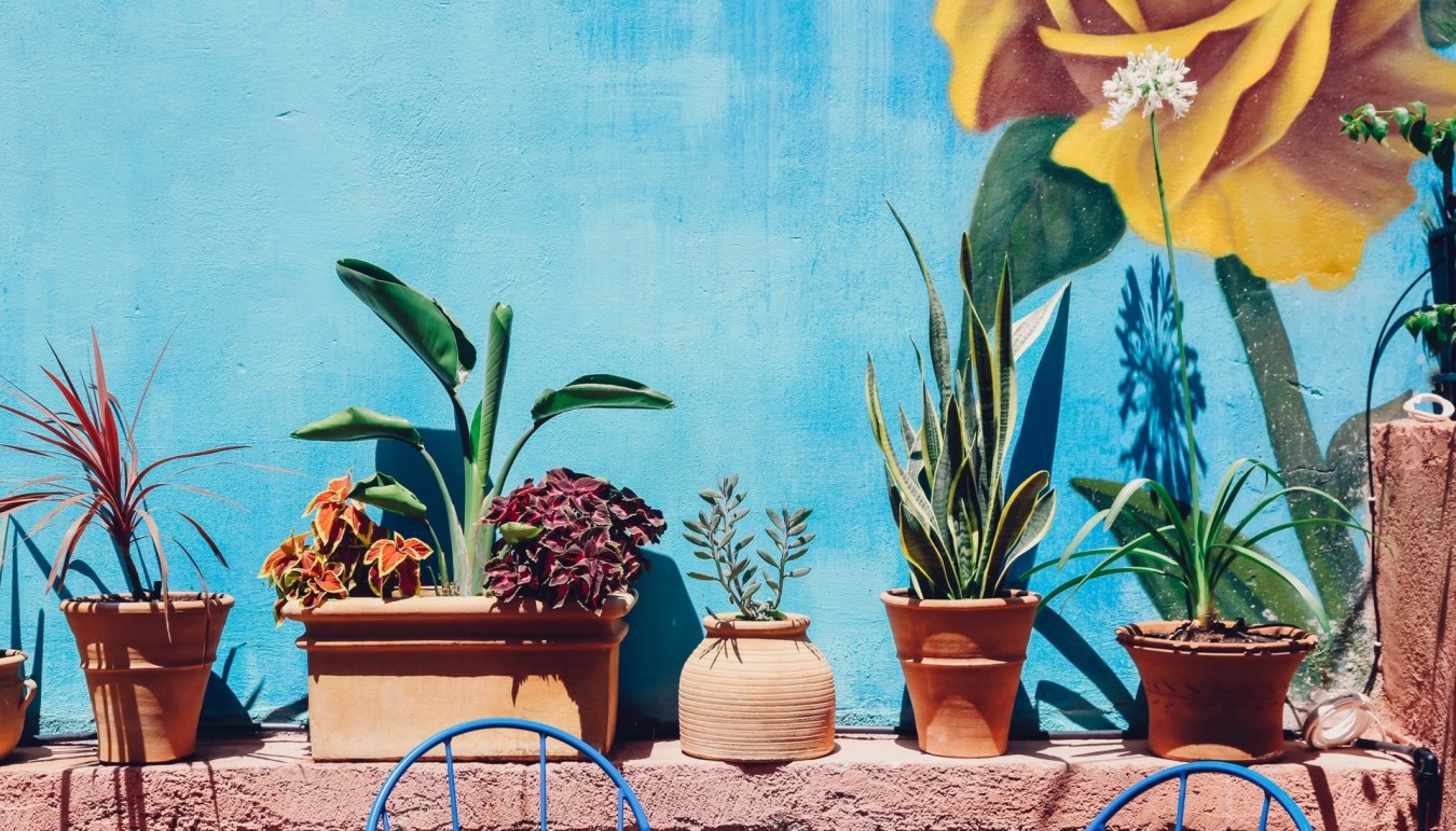 ÎÏοÏÎλεÏμα εικÏÎ½Î±Ï Î³Î¹Î± la casa azul ÏεÏιÏÏεÏι menu