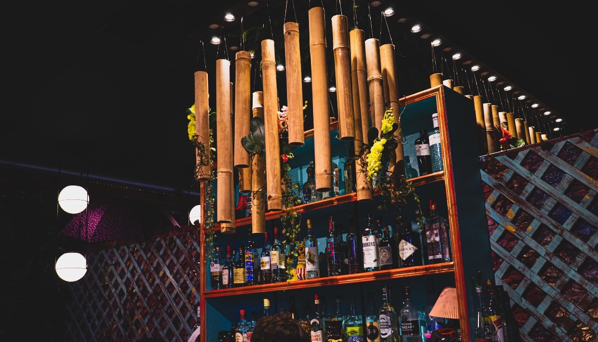 MACAW BAR TROPICANA: ΕΝΑΣ ΠΟΛΥΧΡΩΜΟΣ ΠΑΠΑΓΑΛΟΣ ΠΟΥ ΞΕΡΕΙ ΑΠΟ ΚΟΚΤΕΙΛ | The Bars