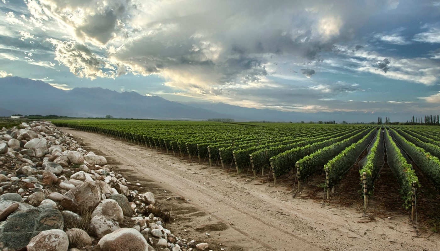 ZUCCARDI, ΥΨΗΛΑ ΥΨΟΜΕΤΡΑ ΧΑΜΗΛΕΣ ΠΤΗΣΕΙΣ… | Θέματα