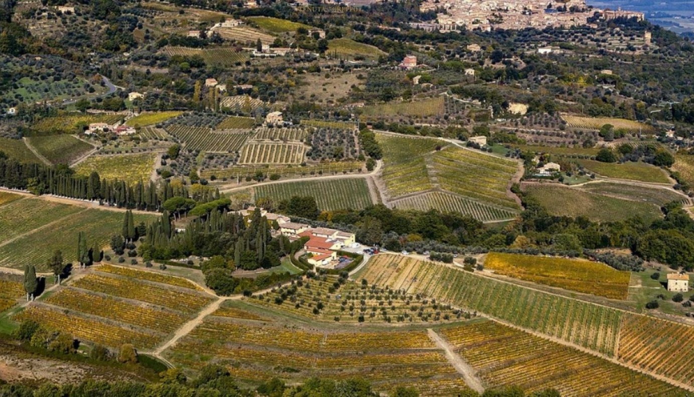 TENUTA BIONDI SANTI: ΜΕΓΑΛΟ (GROSSO) SANGIOVESE, ΜΕΓΑΛΗ ΑΡΙΣΤΟΚΡΑΤΙΚΟΤΗΤΑ | Θέματα