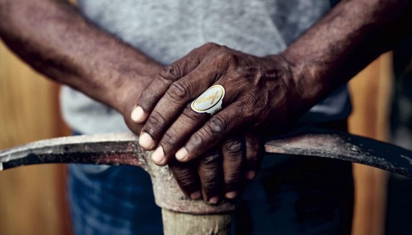 DAVIDOFF, Η ΓΟΗΤΕΙΑ ΤΟΥ ΛΕΥΚΟΥ ΔΑΧΤΥΛΙΔΙΟΥ | Θέματα