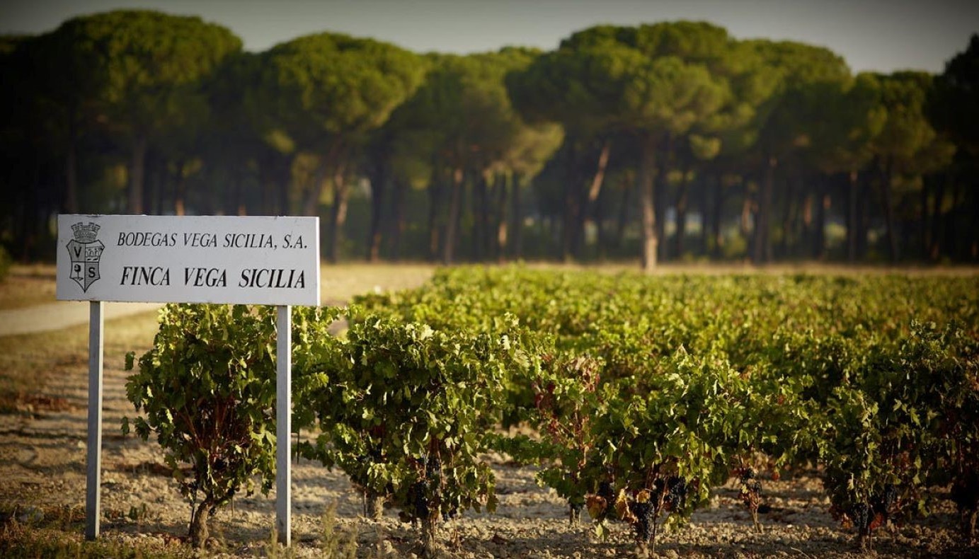 VEGA SICILIA, ΤΑ ΔΙΑΜΑΝΤΙΑ ΕΙΝΑΙ ΠΑΝΤΟΤΙΝΑ ΚΑΙ ΔΙΑΣΠΑΡΤΑ ΠΑΝΤΟΥ! | Θέματα