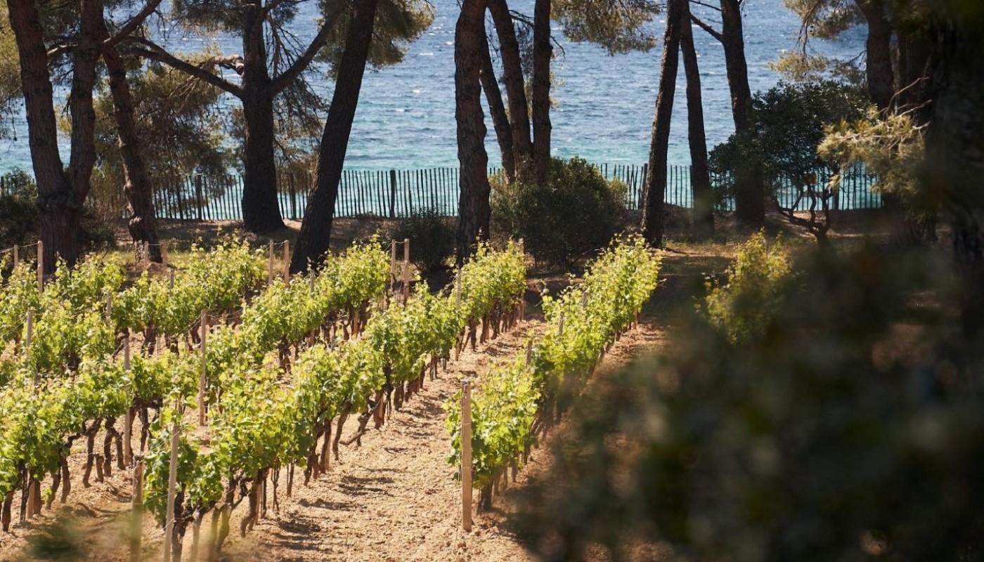 DOMAINES OTT ETOILE, ΤΟ ΑΣΤΡΟ ΤΗΣ ΝΟΤΙΟ-ΓΑΛΛΙΚΗΣ ΒΗΘΛΕΕΜ | Θέματα