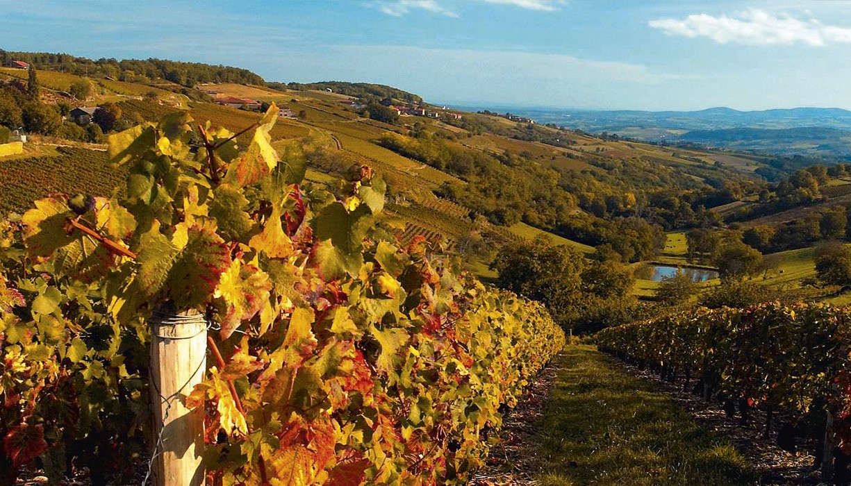 TRENEL, O CHAPOUTIER ΤΟΥ BEAUJOLAIS! | Θέματα