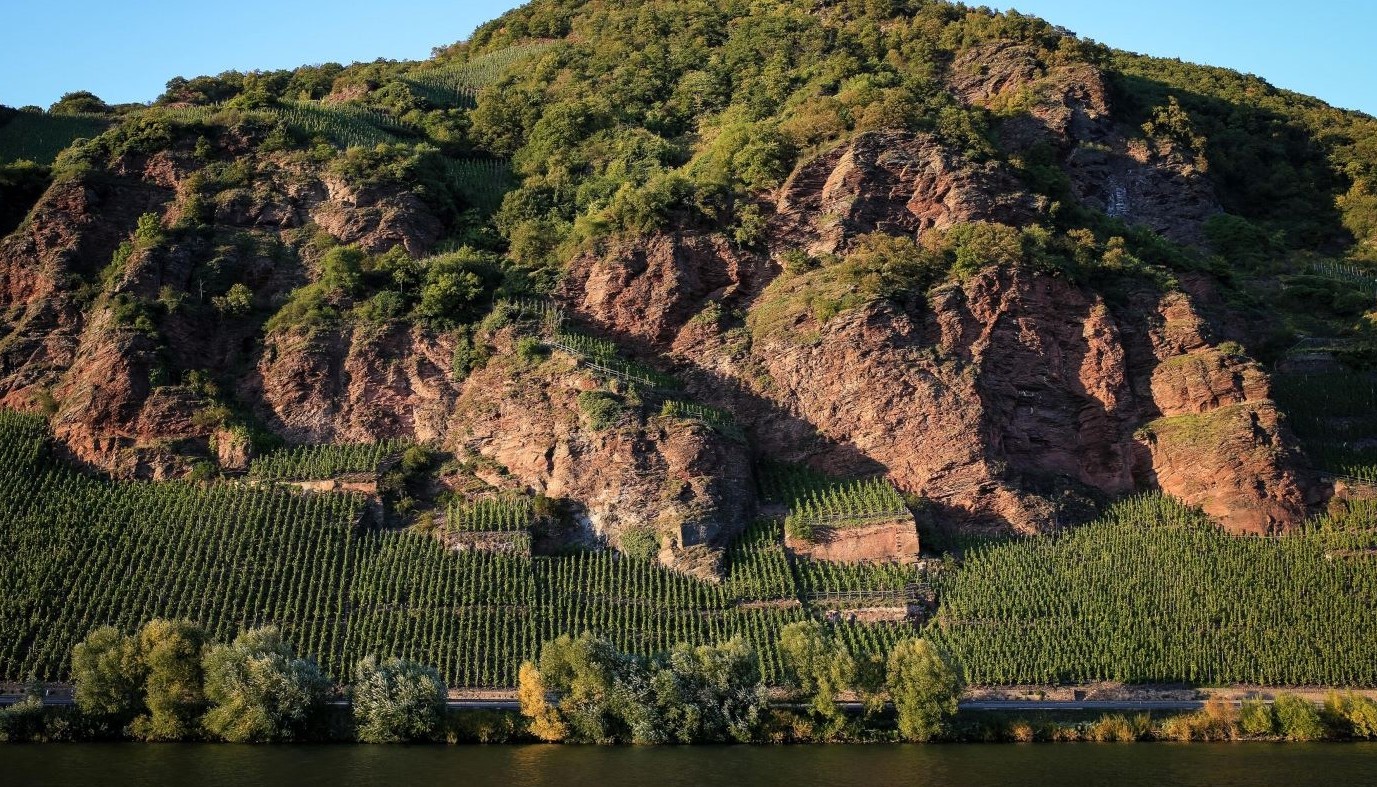 DR ERNST LOOSEN: ΑΞΕΠΕΡΑΣΤΟ STORY & FOOD PAIRING ΑΠΟ ΤΟΝ MOSEL | Θέματα