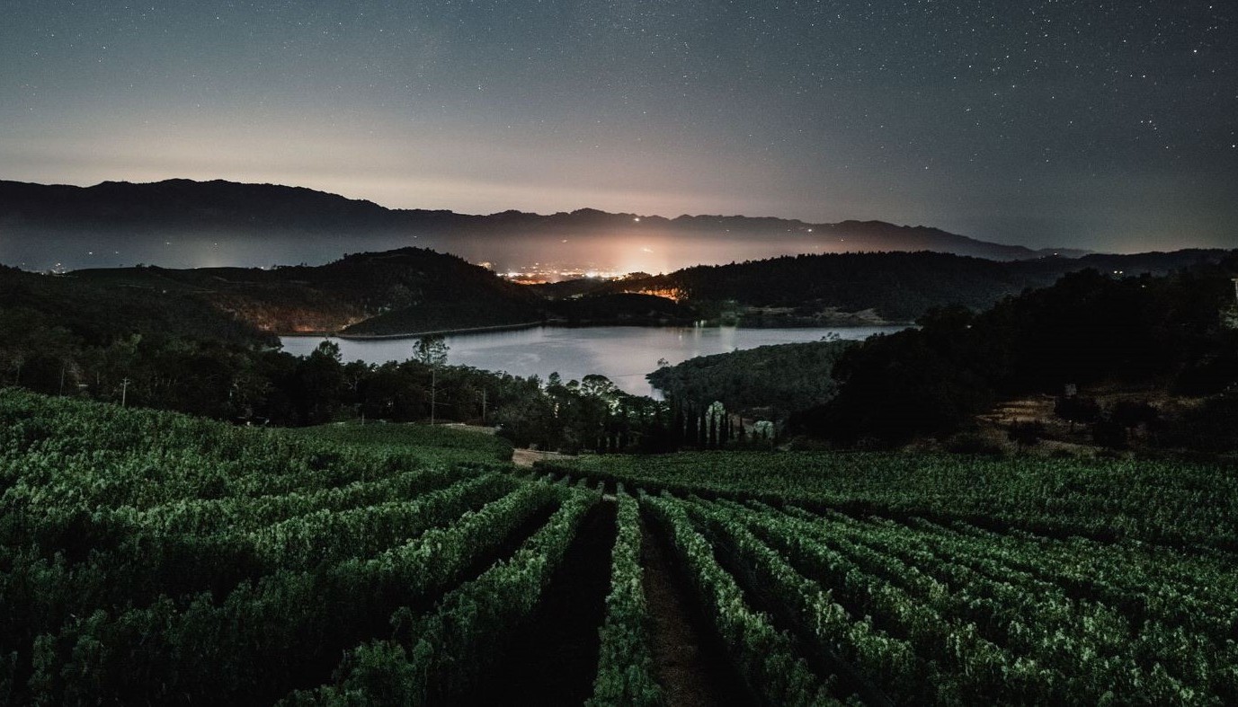 NICLIANI CELLARS, ΕΚΕΙ ΠΟΥ ΤΟ 8,5/10 (ΣΧΕΔΟΝ) ΘΕΩΡΕΙΤΑΙ ΑΠΟΤΥΧΙΑ! | Θέματα