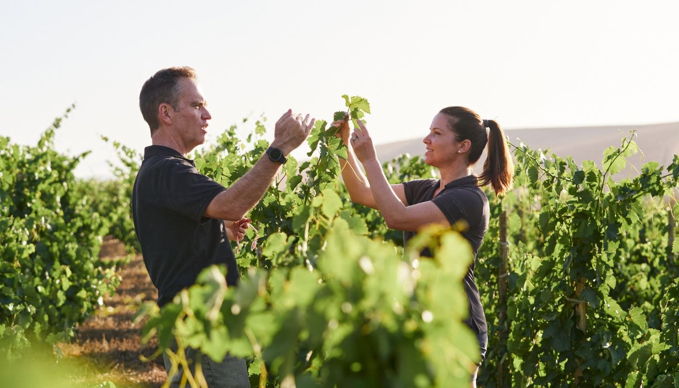 GRAND RESORT LAGONISSI: ΕΝΑ EXCLUSIVE ΔΕΙΠΝΟ ΜΕ ΤΑ ΚΡΑΣΙΑ ΤΟΥ MULLINEUX WINERY | Νέα