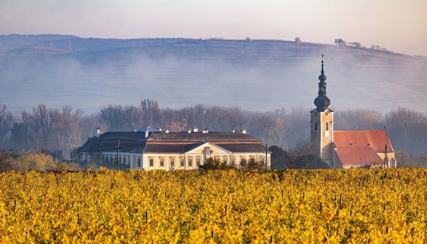 SCHLOSS GOBELSBURG RIED LAMM: CONCERTO ΓΙΑ LYRA ΚΑΙ ΕΜΠΕΙΡΙΑ. | Θέματα