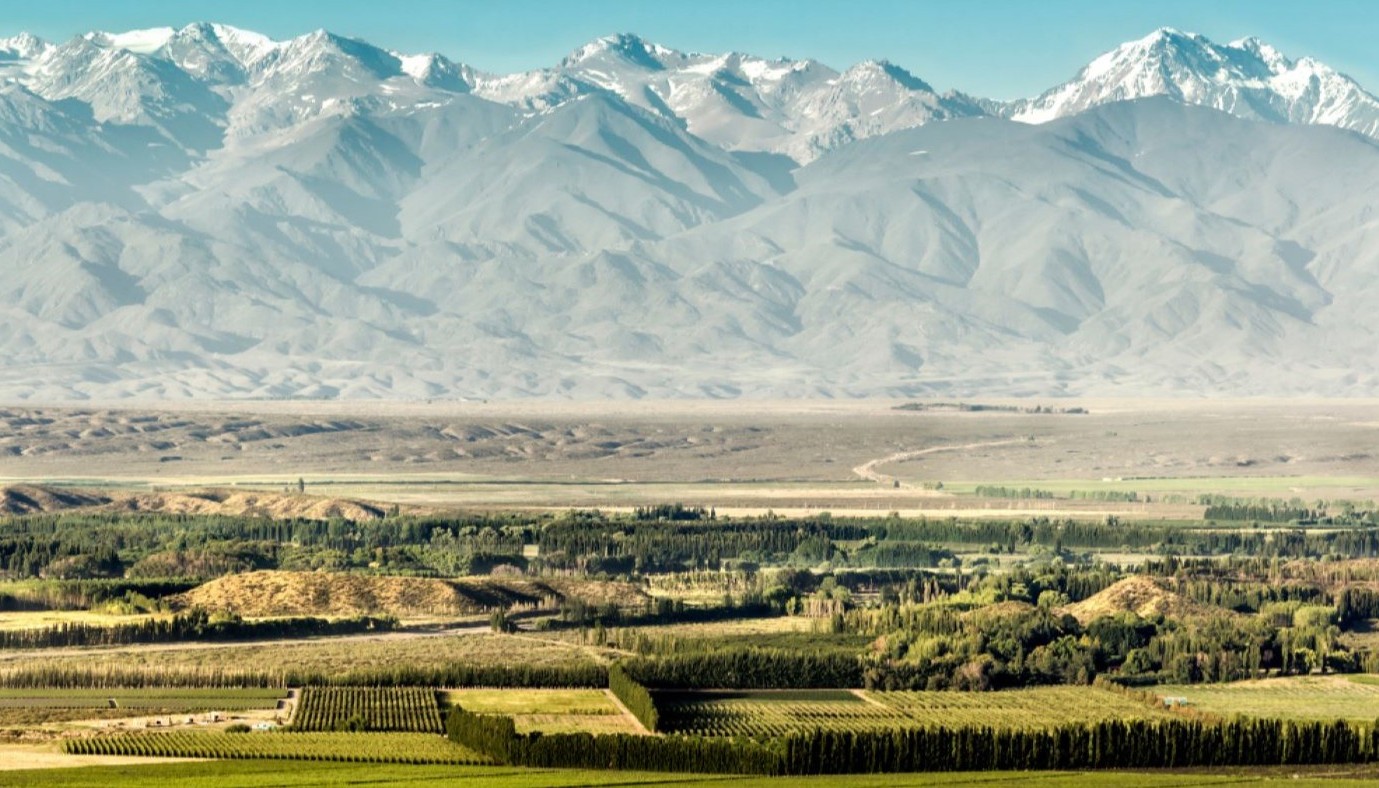 ARGENTINE WINE TASTING 2024. | Θέματα