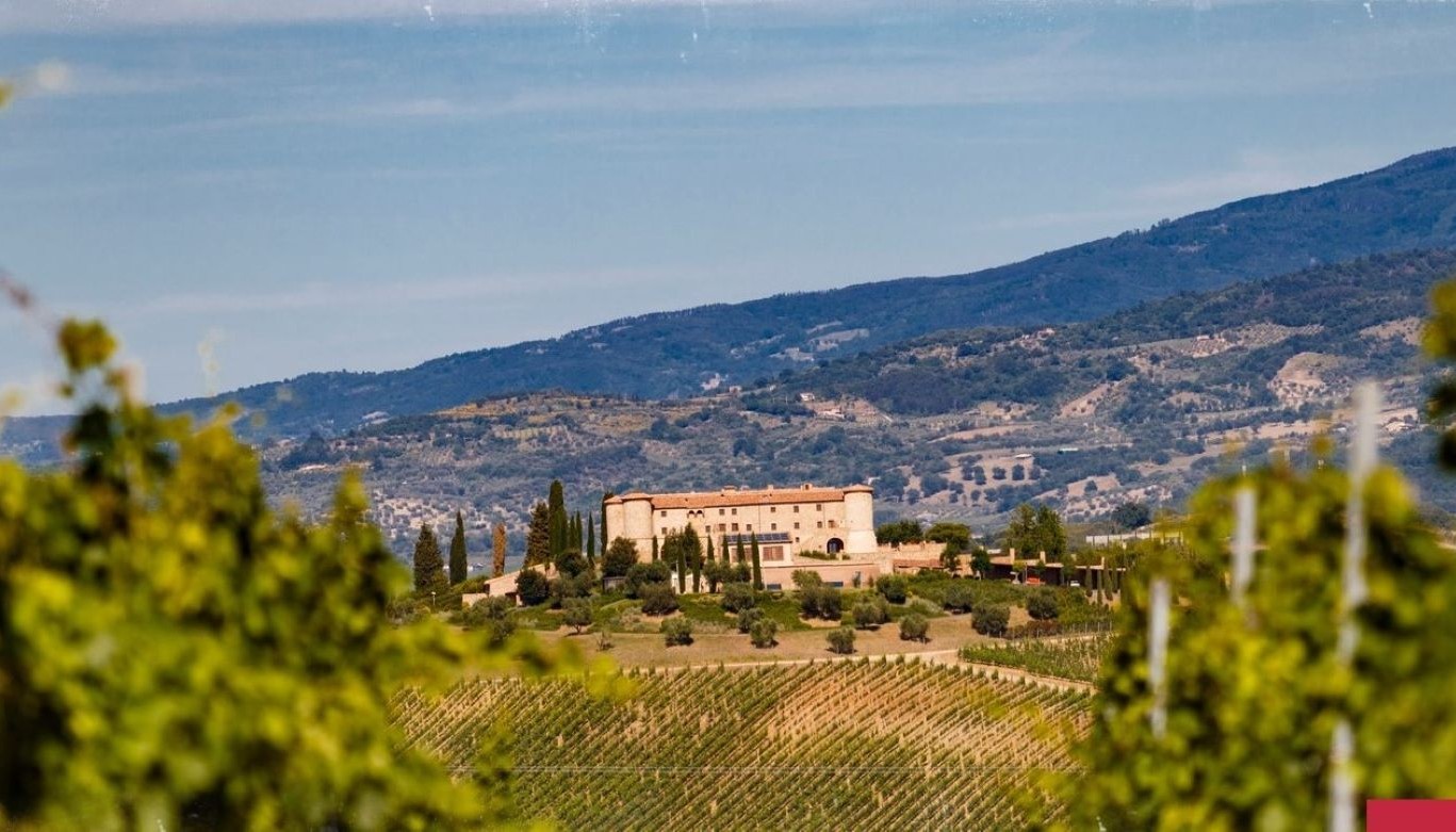 COLLEMASSARI ESTATES, ΕΝΑ ΣΤΕΜΜΑ ΓΕΜΑΤΟ ΠΟΛΥΤΙΜΑ ΠΕΤΡΑΔΙΑ. | Θέματα