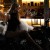 Ντίβα στο Κολωνάκι: Το νέο gastrobar με κομψότητα, στυλ και υπέροχα cocktails
