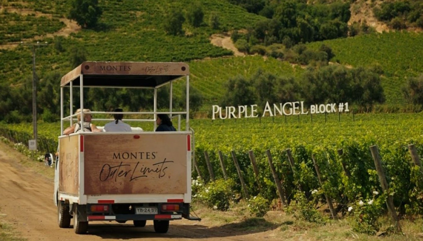 MONTES, ΟΤΑΝ ΟΙ ΑΓΓΕΛΟΙ ΣΤΗΝΟΥΝ ΧΟΡΟ ΚΑΤΩ ΑΠΟ ΤΙΣ ΑΝΔΕΙΣ! | Θέματα