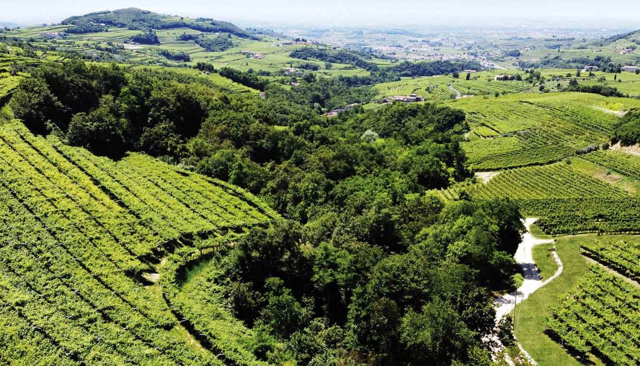 ORBIS VINI 2025, GRAND DEBUT: ΜΕΡΟΣ 1Ο, ΤΑ ΕΡΥΘΡΑ ΚΡΑΣΙΑ | Θέματα