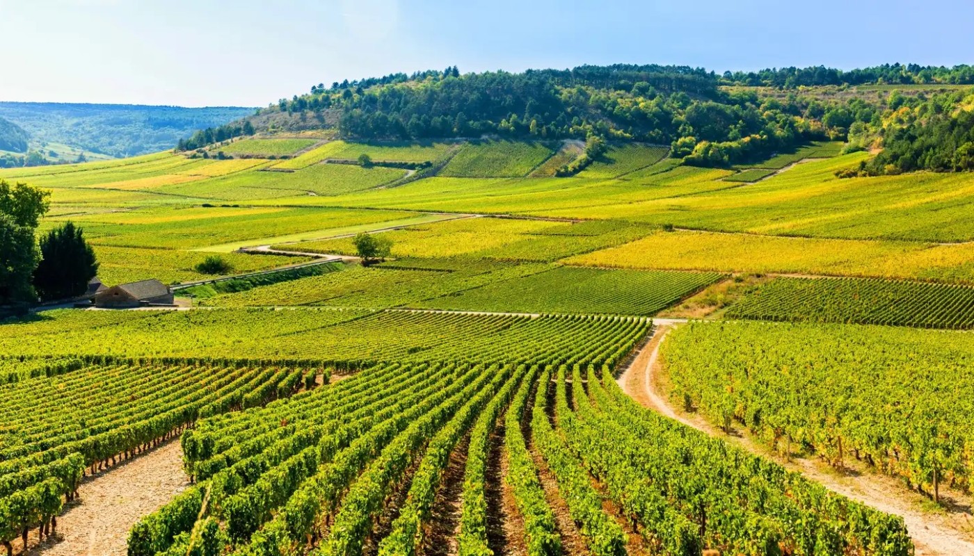 ΟΜΟΡΦΗ, ΛΕΥΚΗ ΒΟΥΡΓΟΥΝΔΙΑ ΣΤΑ ΙΔΑΝΙΚΑ …BRIX! | Θέματα