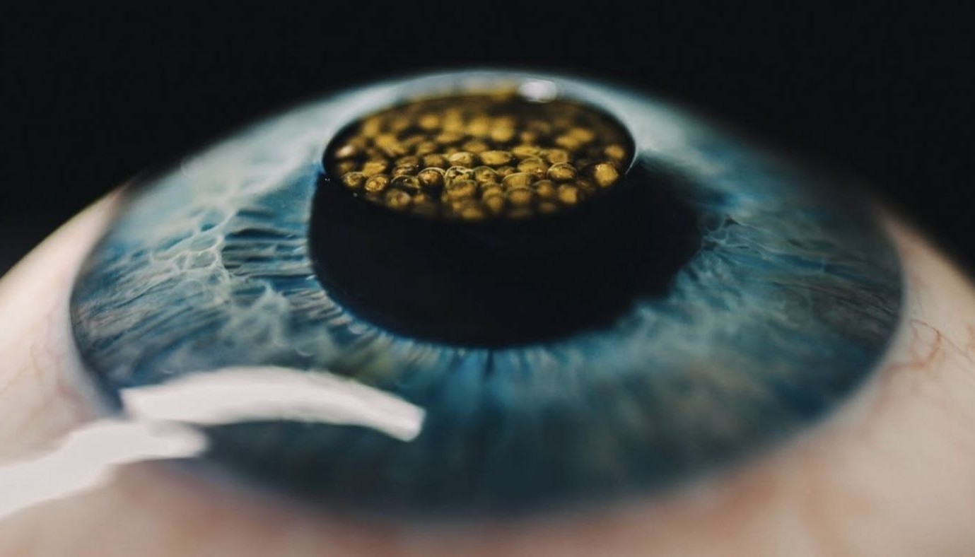 ATHENS GASTRONOMIC FORUM 2026: ΕΝΑ ΔΙΕΘΝΕΣ ΡΑΝΤΕΒΟΥ ΜΕ ΤΗ ΓΑΣΤΡΟΝΟΜΙΑ ΤΟΥ ΑΥΡΙΟ | Θέματα