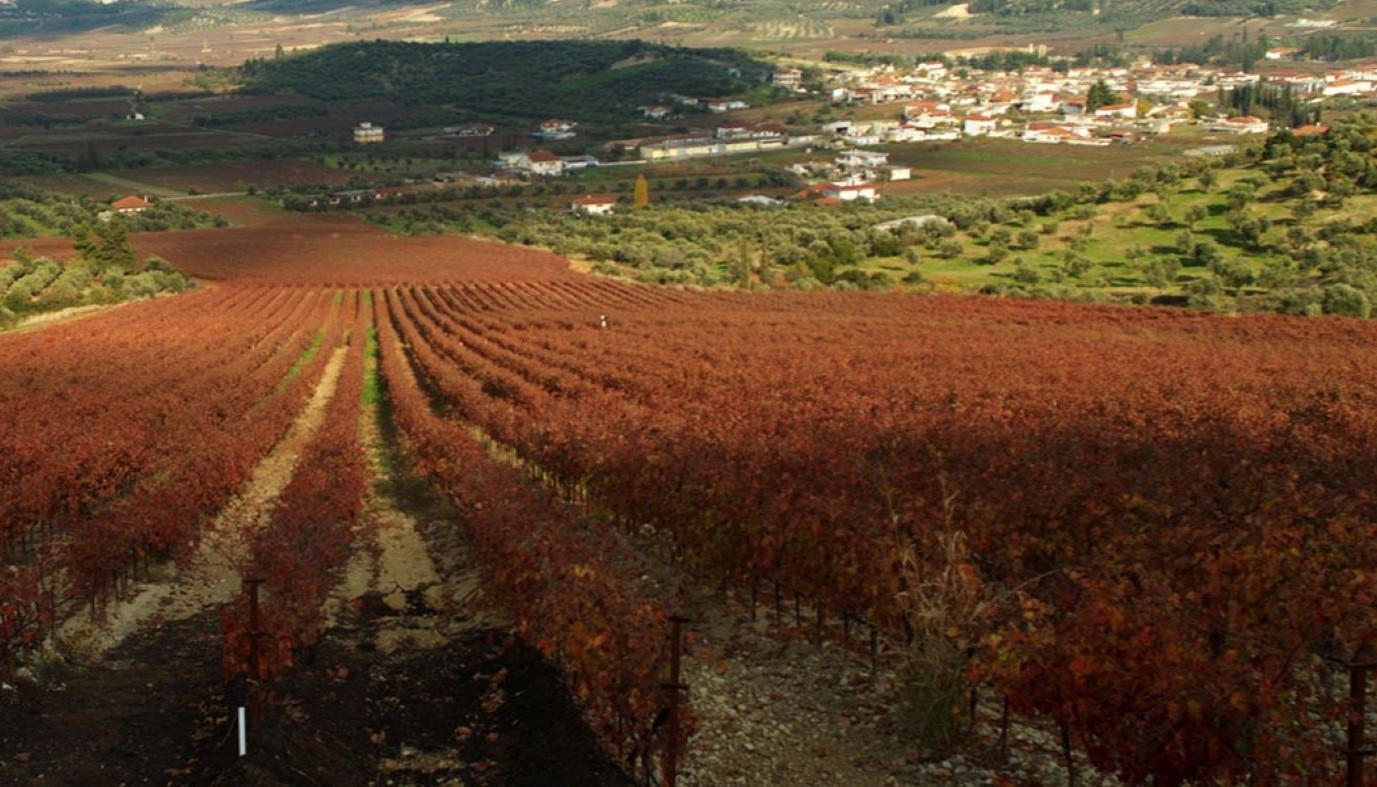 PELOPONNESE WINE FESTIVAL: H ΝΕΜΕΑ (ΚΑΙ ΤΑ ΠΕΡΙΧΩΡΑ!) ΕΝ ΕΤΗ 2026 | Θέματα