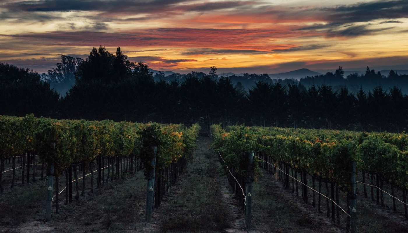 OENOCOSMOS WINEFAIR 2026, SYMPHONY “FROM THE NEW WORLD” | Θέματα